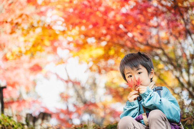 【郡上市】秋のおでかけ日和は「白雲山やすらぎの森」へ家族で行こう！“森の楽園シリーズ_秋編”