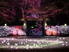 【岐阜市】ぎふ灯り物語2026開催決定！岐阜公園・正法寺で冬のナイトイベント