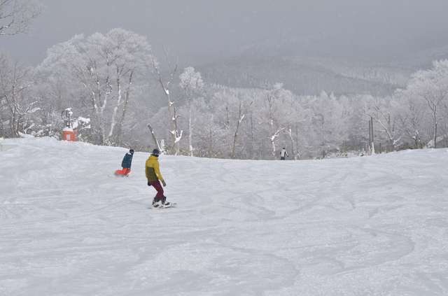 【郡上市】めいほうスキー場で「SBJ ON SNOW FESTIVAL」開催