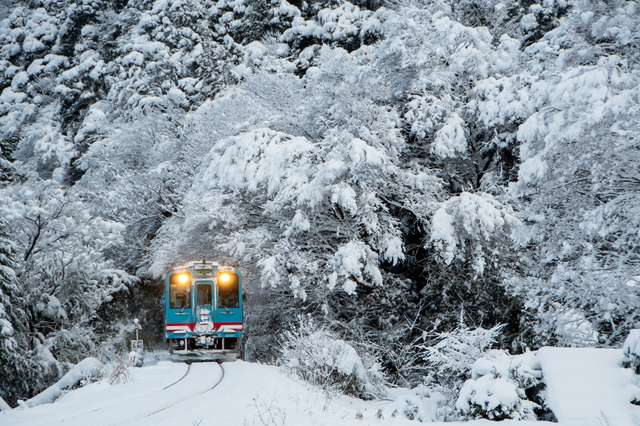【本巣市】冬の風物詩「樽見鉄道 しし鍋列車」運行中